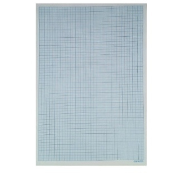 Hojas milimetradas 10 un.